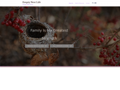 rocktheemptynest.com snapshot