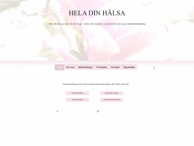 heladinhalsa.com snapshot