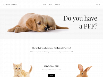 www.pffmi.com snapshot