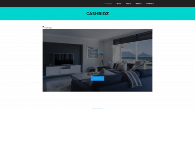 cashbidz.com snapshot