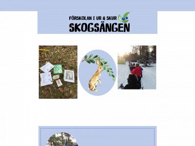 skogsangen.se snapshot