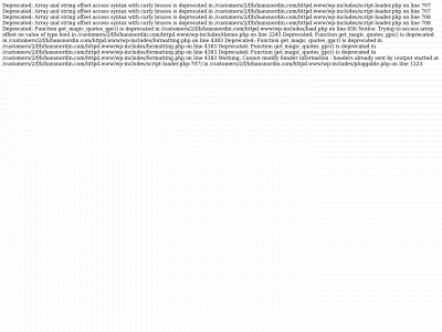 hansnordin.com snapshot
