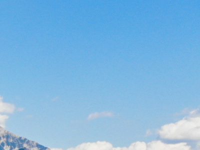 nicolaschampion.be snapshot