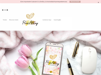 pinkalloy.com snapshot