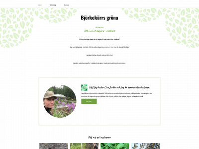 bjorkekarrsgrona.se snapshot