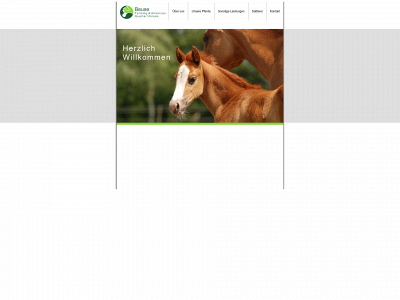 beuse-qh.de snapshot