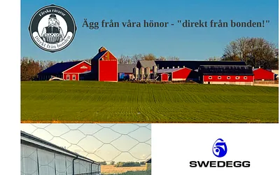 swedegg.se snapshot