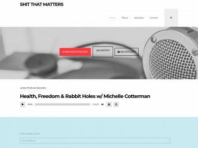 theshitthatmatters.com snapshot