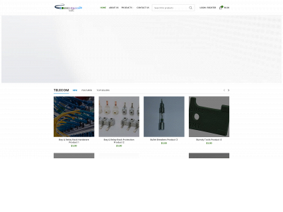 shi-camtelcostore.com snapshot