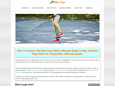 flypogo.net snapshot