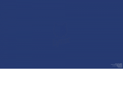 lynx.lt snapshot