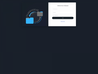 filservice.se snapshot