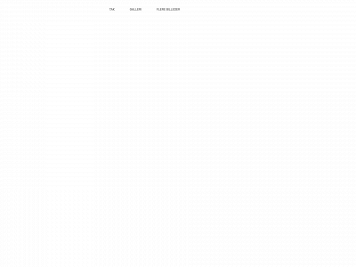 elizabethogmikkel.dk snapshot