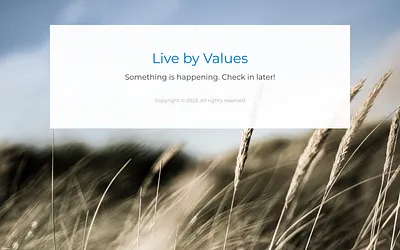 livebyvalues.dk snapshot