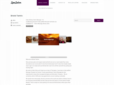bristoltantric.com snapshot