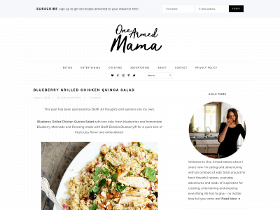 onearmedmama.com snapshot