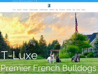 t-luxefrenchbulldogs.com snapshot
