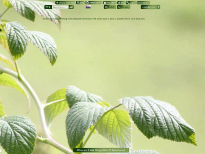 olfvingsson.se snapshot