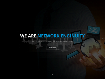 networkenginuity.com snapshot