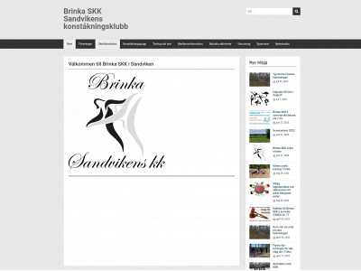 brinkaskk.one snapshot
