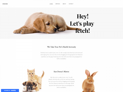 naccoup.weebly.com snapshot