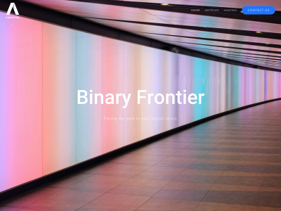 binaryfrontier.com snapshot