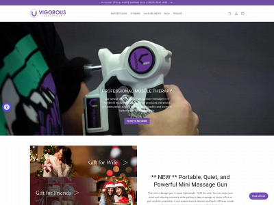 vigorousinnovations.com snapshot