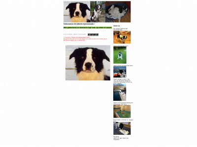 albertgf.com snapshot