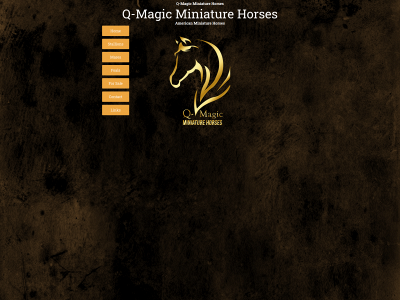 q-magic-miniature-horses.com snapshot