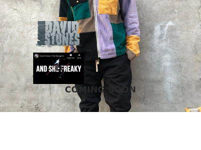 thedistrictofhiphop.com snapshot