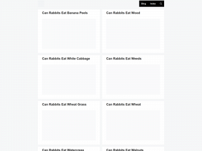 bitesofbunny.com snapshot