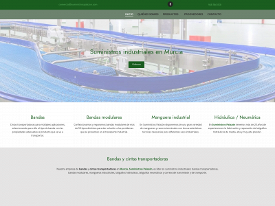 suministrospalazon.es snapshot