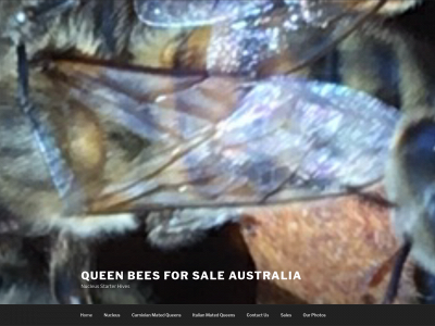 royalbuzzqueenbees.com snapshot