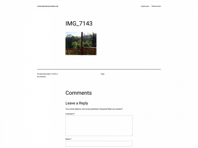 ichwerdesdirschreiben.de snapshot