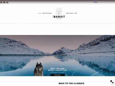 thebanditapparel.com snapshot