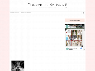 trouwenindemeierij.nl snapshot