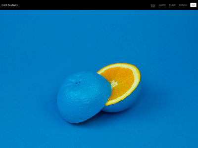 finlitacademy.com snapshot