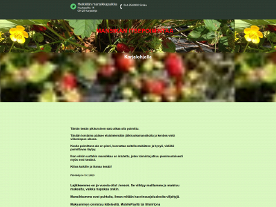 heikkilanmansikkapaikka.fi snapshot