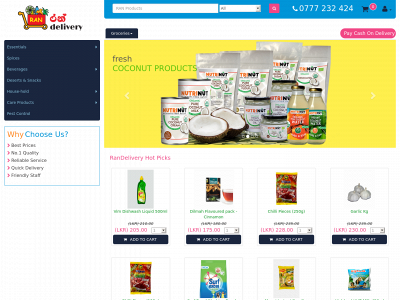 randelivery.com snapshot