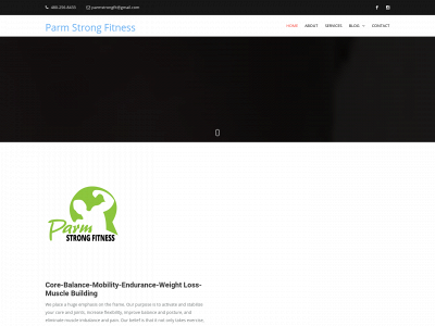 parmstrongfitness.com snapshot