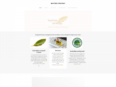 www.baytreestrategy.com snapshot
