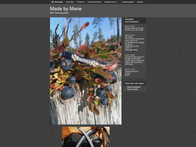 madebymarie.se snapshot