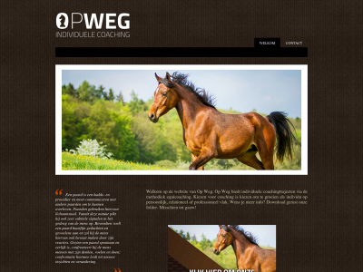 opweg-coaching.be snapshot