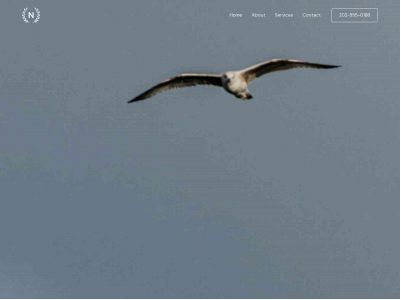 sonolyze.com snapshot