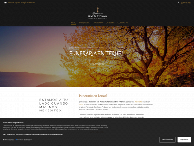 www.tanatoriosanjulianteruel.es snapshot