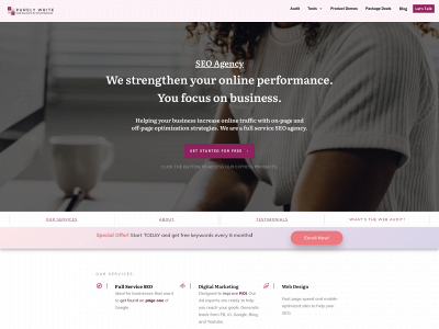 purelywrite.com snapshot
