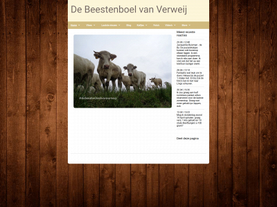 debeestenboelvanverweij.nl snapshot