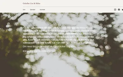 liwohalsa.se snapshot