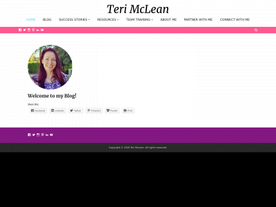 terimclean.com snapshot