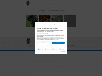 ethund.se snapshot